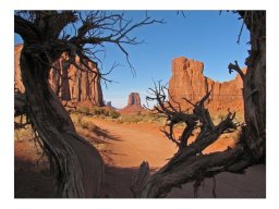 Andreas Herrmann "Monument Valley"